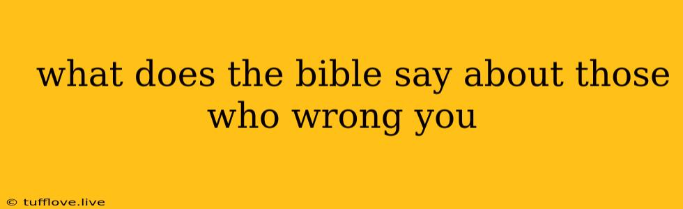  What Does The Bible Say About Those Who Wrong You