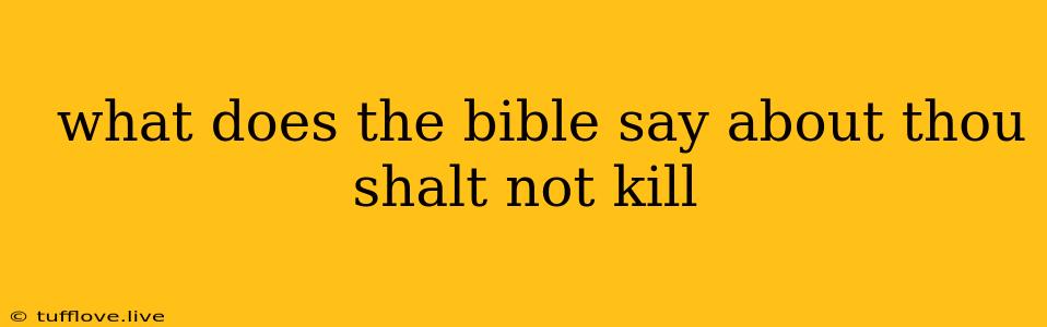  What Does The Bible Say About Thou Shalt Not Kill