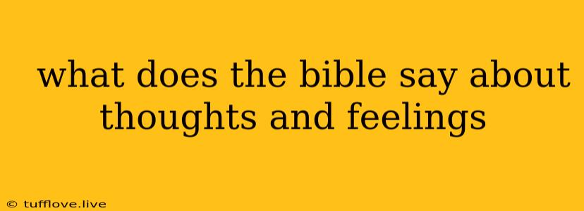  What Does The Bible Say About Thoughts And Feelings