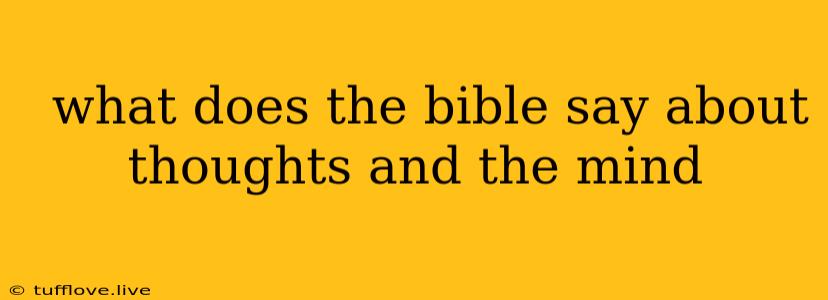  What Does The Bible Say About Thoughts And The Mind