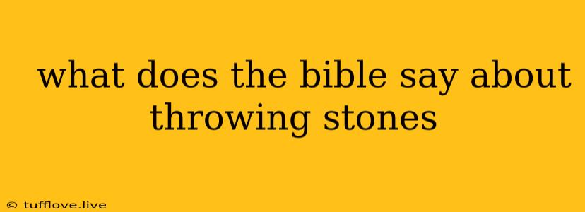  What Does The Bible Say About Throwing Stones