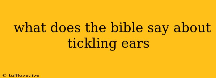  What Does The Bible Say About Tickling Ears