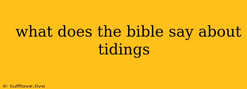  What Does The Bible Say About Tidings