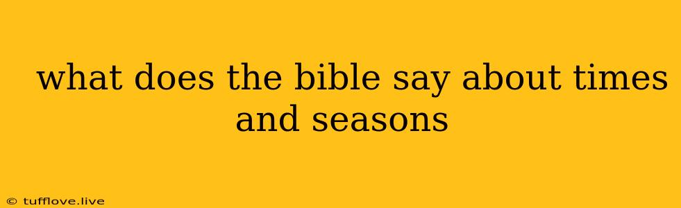  What Does The Bible Say About Times And Seasons