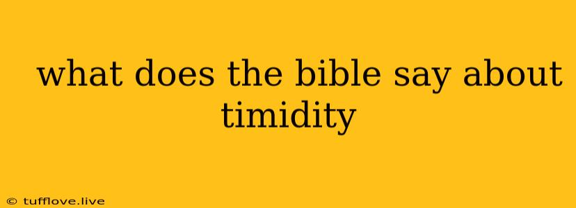  What Does The Bible Say About Timidity