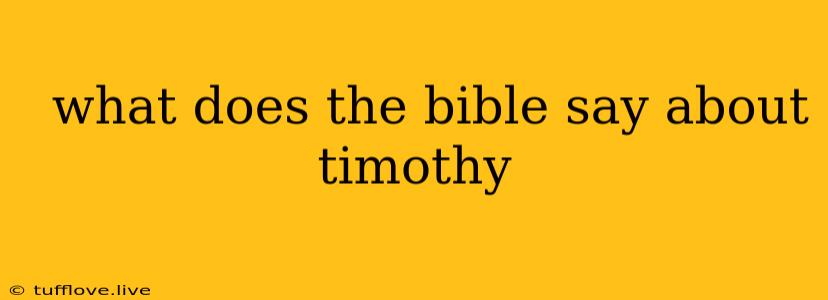  What Does The Bible Say About Timothy