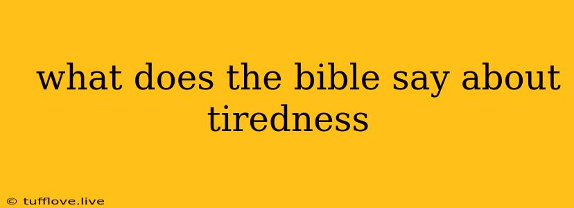  What Does The Bible Say About Tiredness