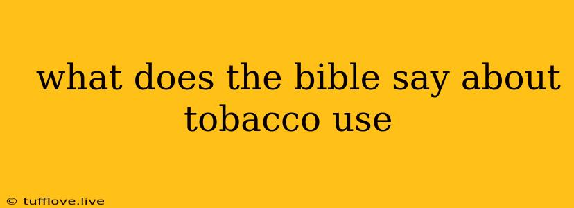  What Does The Bible Say About Tobacco Use