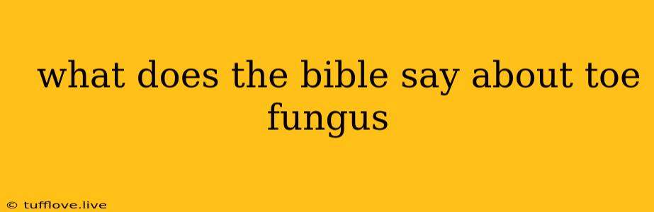  What Does The Bible Say About Toe Fungus