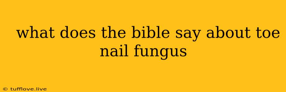  What Does The Bible Say About Toe Nail Fungus