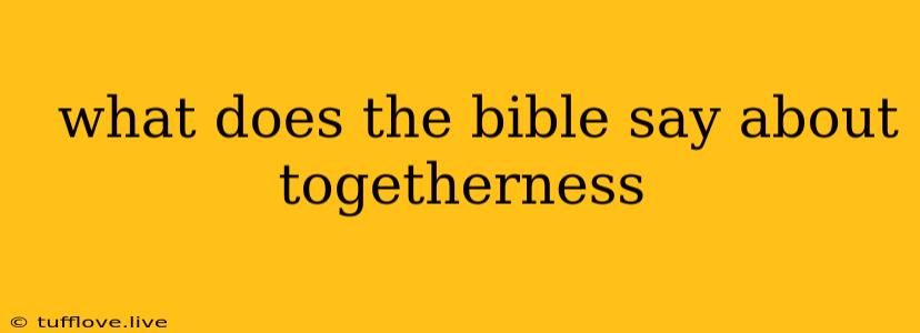  What Does The Bible Say About Togetherness