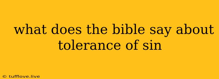  What Does The Bible Say About Tolerance Of Sin