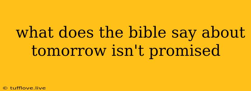  What Does The Bible Say About Tomorrow Isn't Promised