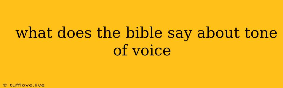  What Does The Bible Say About Tone Of Voice