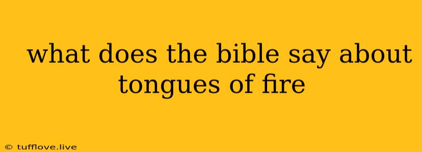  What Does The Bible Say About Tongues Of Fire