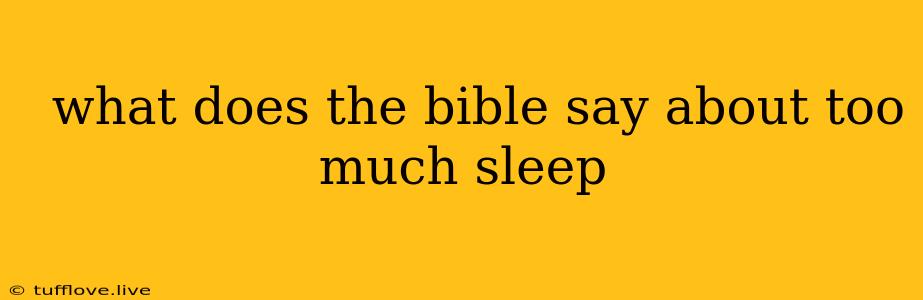  What Does The Bible Say About Too Much Sleep