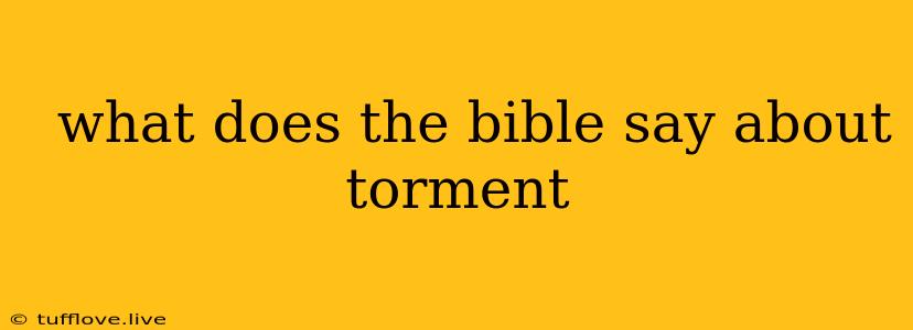  What Does The Bible Say About Torment