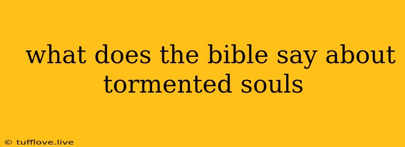  What Does The Bible Say About Tormented Souls