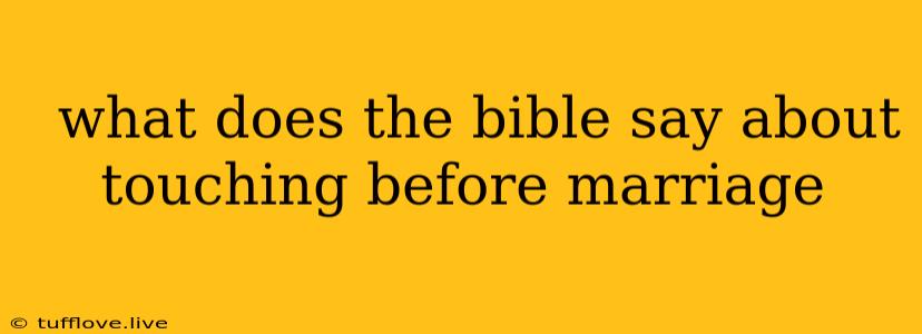  What Does The Bible Say About Touching Before Marriage