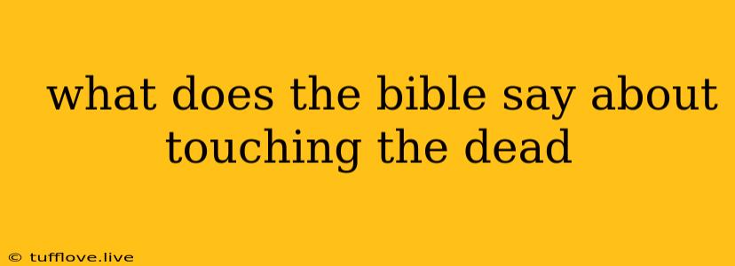  What Does The Bible Say About Touching The Dead