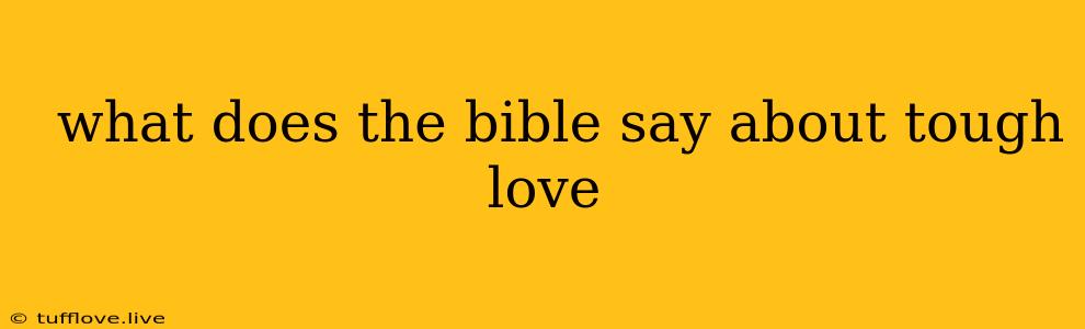  What Does The Bible Say About Tough Love