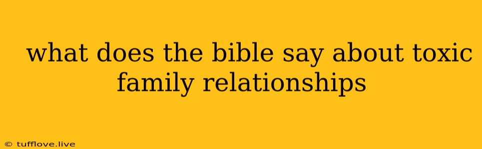  What Does The Bible Say About Toxic Family Relationships