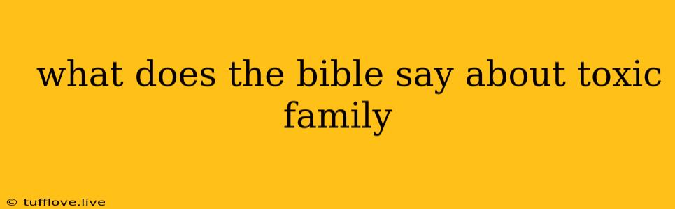  What Does The Bible Say About Toxic Family