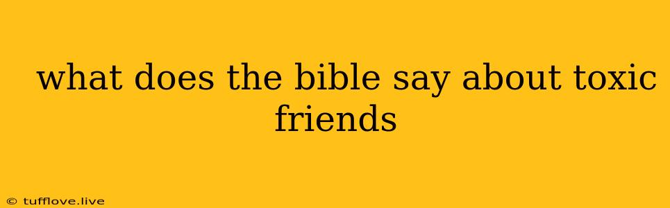  What Does The Bible Say About Toxic Friends