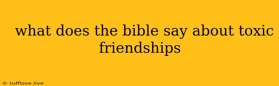  What Does The Bible Say About Toxic Friendships