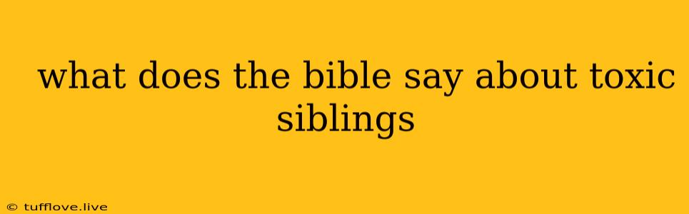  What Does The Bible Say About Toxic Siblings