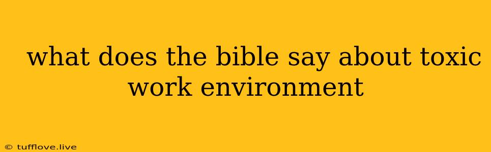  What Does The Bible Say About Toxic Work Environment