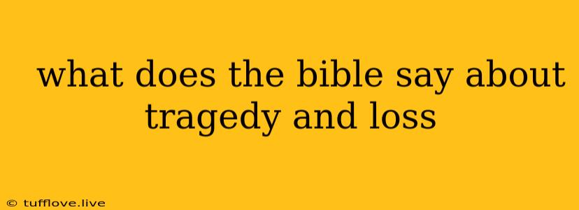  What Does The Bible Say About Tragedy And Loss