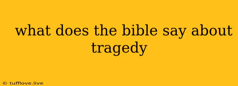  What Does The Bible Say About Tragedy