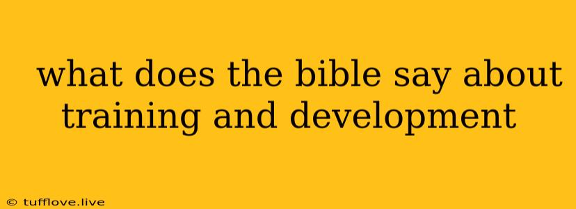  What Does The Bible Say About Training And Development