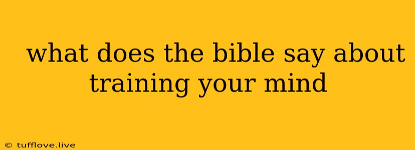  What Does The Bible Say About Training Your Mind