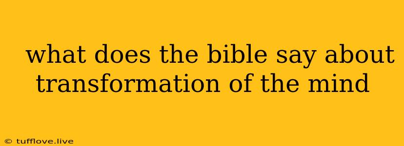  What Does The Bible Say About Transformation Of The Mind