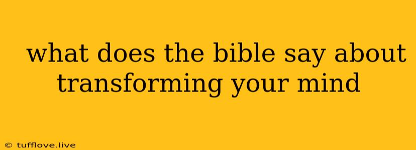  What Does The Bible Say About Transforming Your Mind