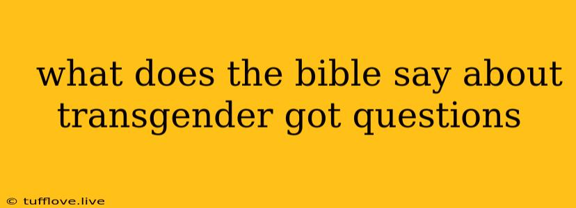  What Does The Bible Say About Transgender Got Questions