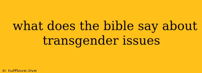  What Does The Bible Say About Transgender Issues