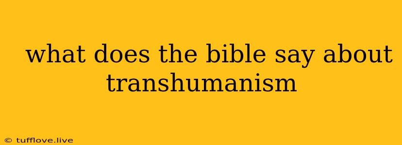  What Does The Bible Say About Transhumanism