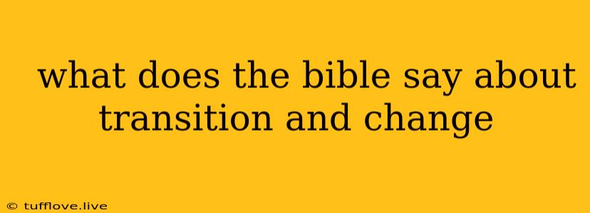  What Does The Bible Say About Transition And Change