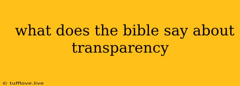  What Does The Bible Say About Transparency