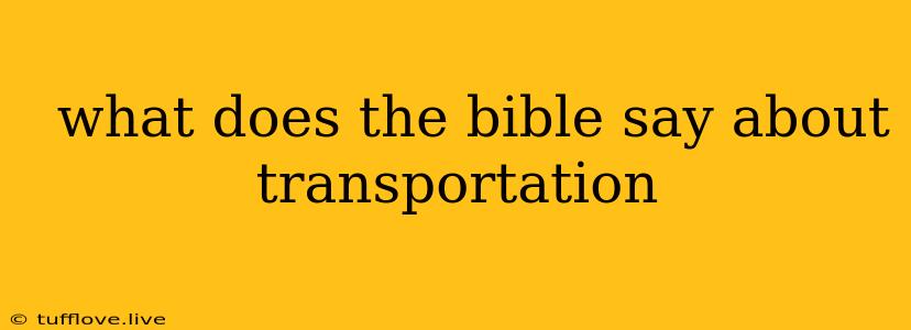  What Does The Bible Say About Transportation