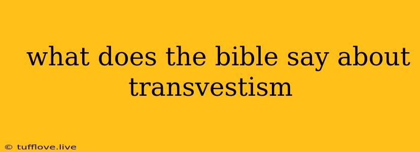  What Does The Bible Say About Transvestism