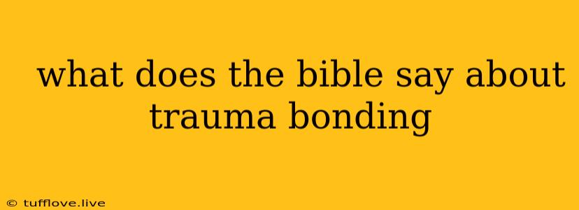  What Does The Bible Say About Trauma Bonding