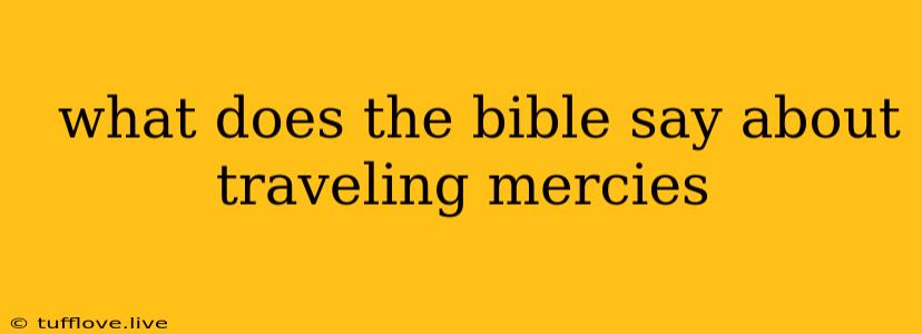  What Does The Bible Say About Traveling Mercies