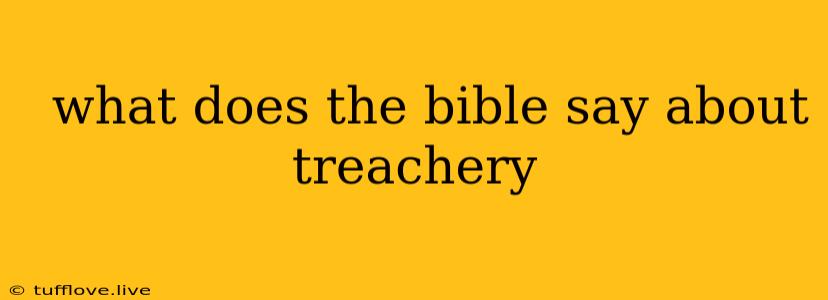  What Does The Bible Say About Treachery