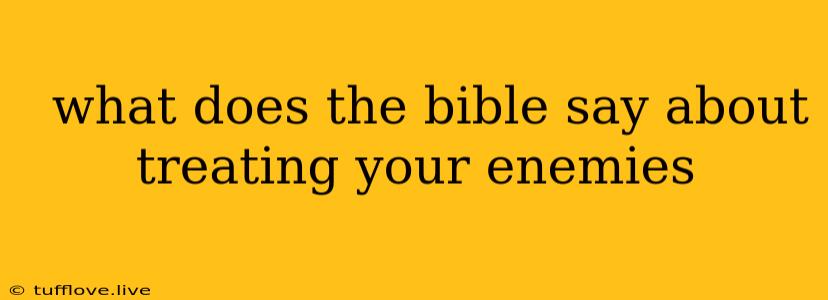  What Does The Bible Say About Treating Your Enemies