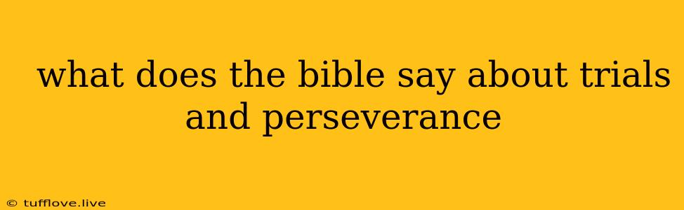  What Does The Bible Say About Trials And Perseverance