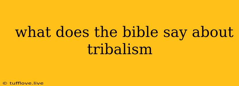  What Does The Bible Say About Tribalism